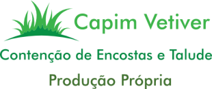 Capim Vetiver em SP